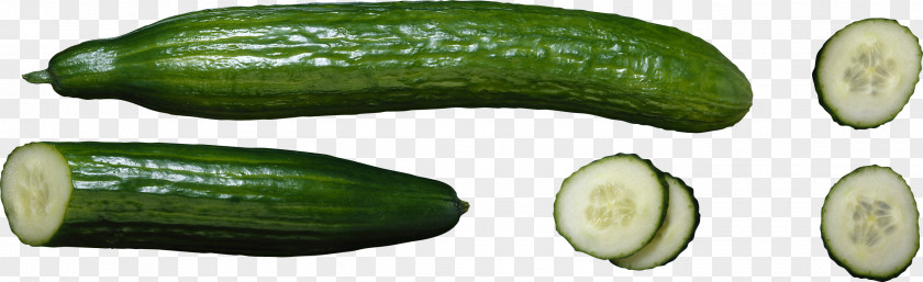Vegetables Cucumber PNG