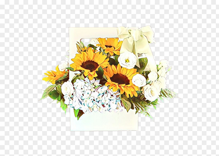 Daisy Family Petal Floral Flower Background PNG