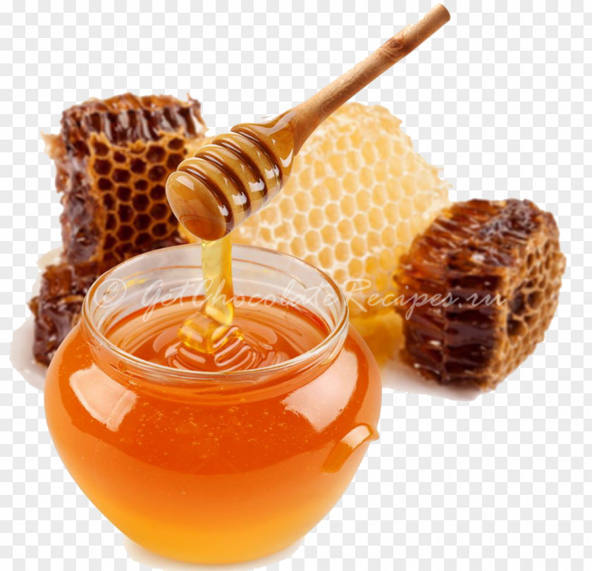 Honey Bee Sweetness PNG