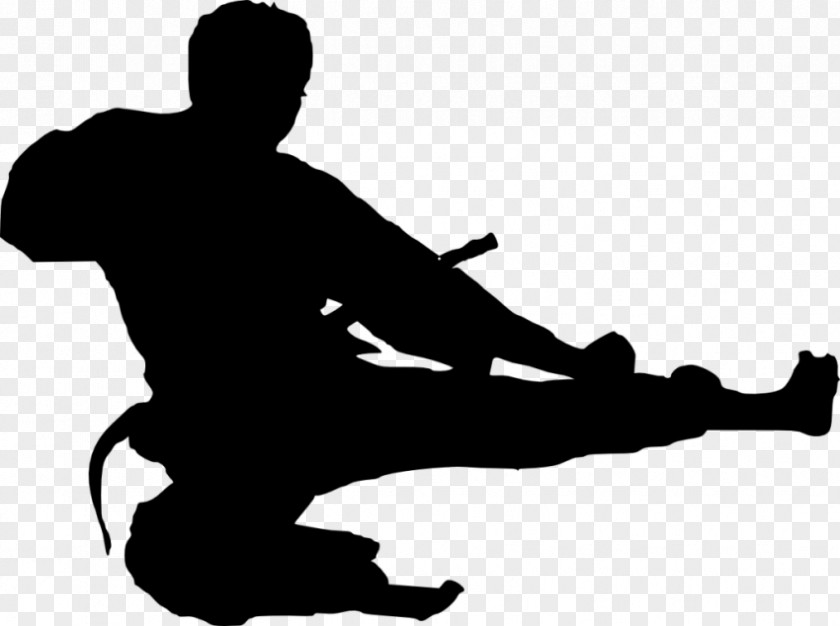 Karate Taekwondo Martial Arts Clip Art PNG