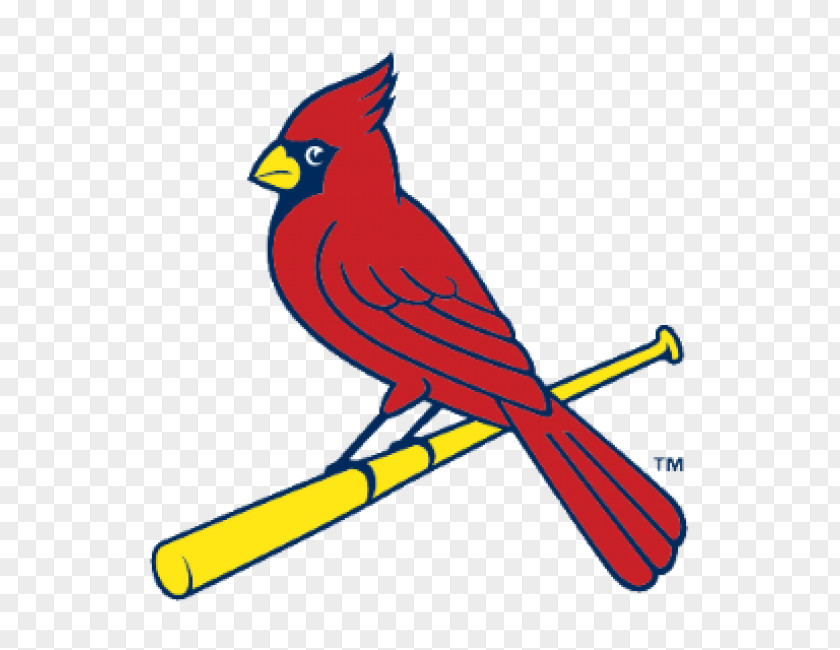 Painted Gray Wolf 2017 St. Louis Cardinals Season Busch Stadium MLB Baseball PNG