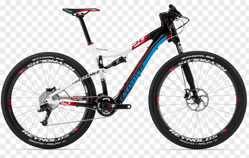 Bicycle Mountain Bike Cross-country Cycling Giant Bicycles Hardtail PNG