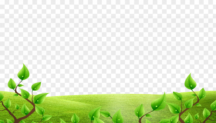 Green Cartoon Grass Decoration Animation Download PNG
