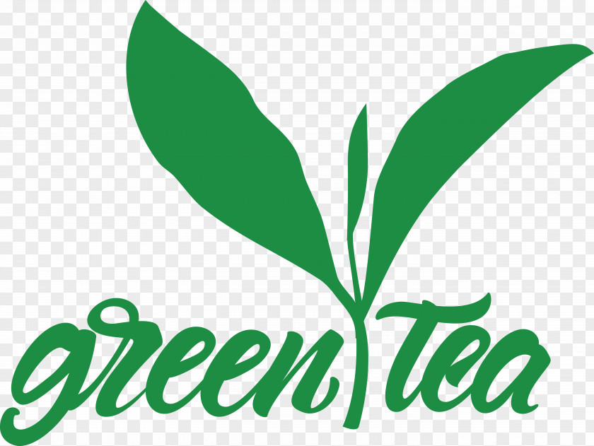 Leaf Plant Stem Logo Line Tree PNG