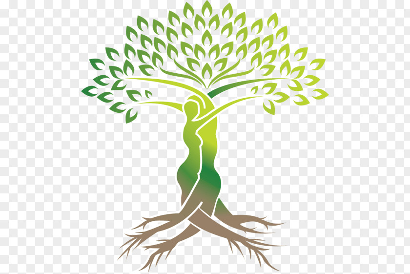 Life Tree Logo Green PNG