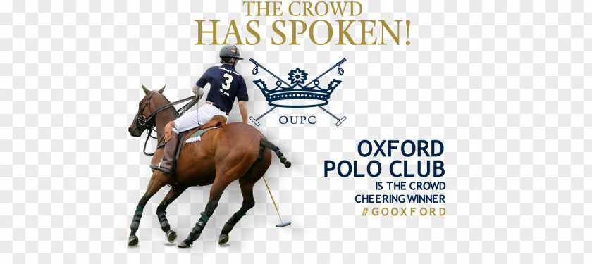 Polo University Of Oxford Club Horse PNG