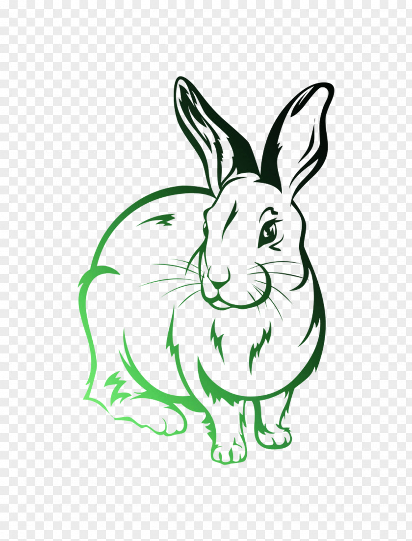 Rabbit Drawing Image Illustration PNG