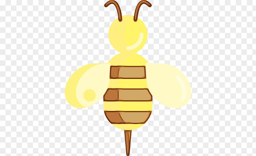 Bumblebee Membranewinged Insect PNG