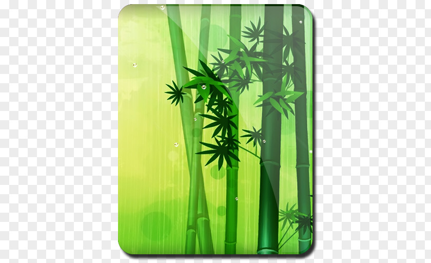 Cannabis Hemp Tropical Woody Bamboos PNG