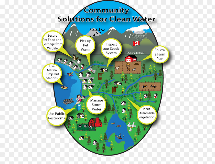 Conservation Of Water Whatcom County, Washington Fecal Coliform Bacteria Pollution PNG