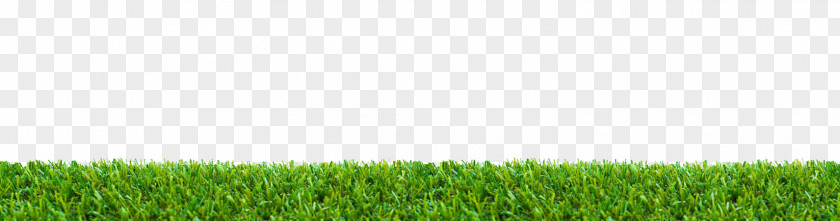Grass Mat Stock Photography Royalty-free Lawn PNG