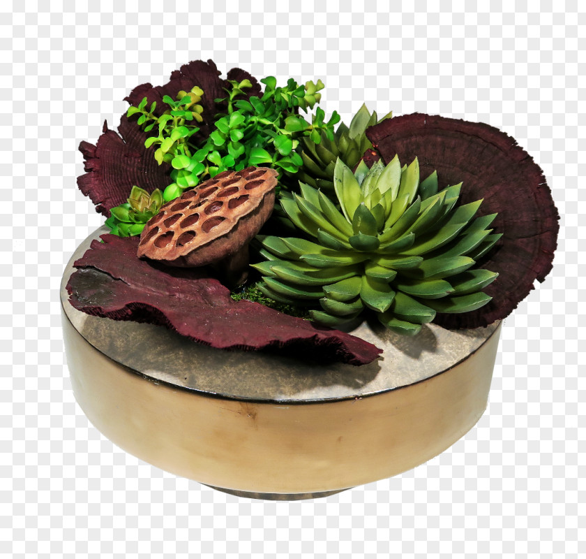 Plant Flowerpot Superfood PNG