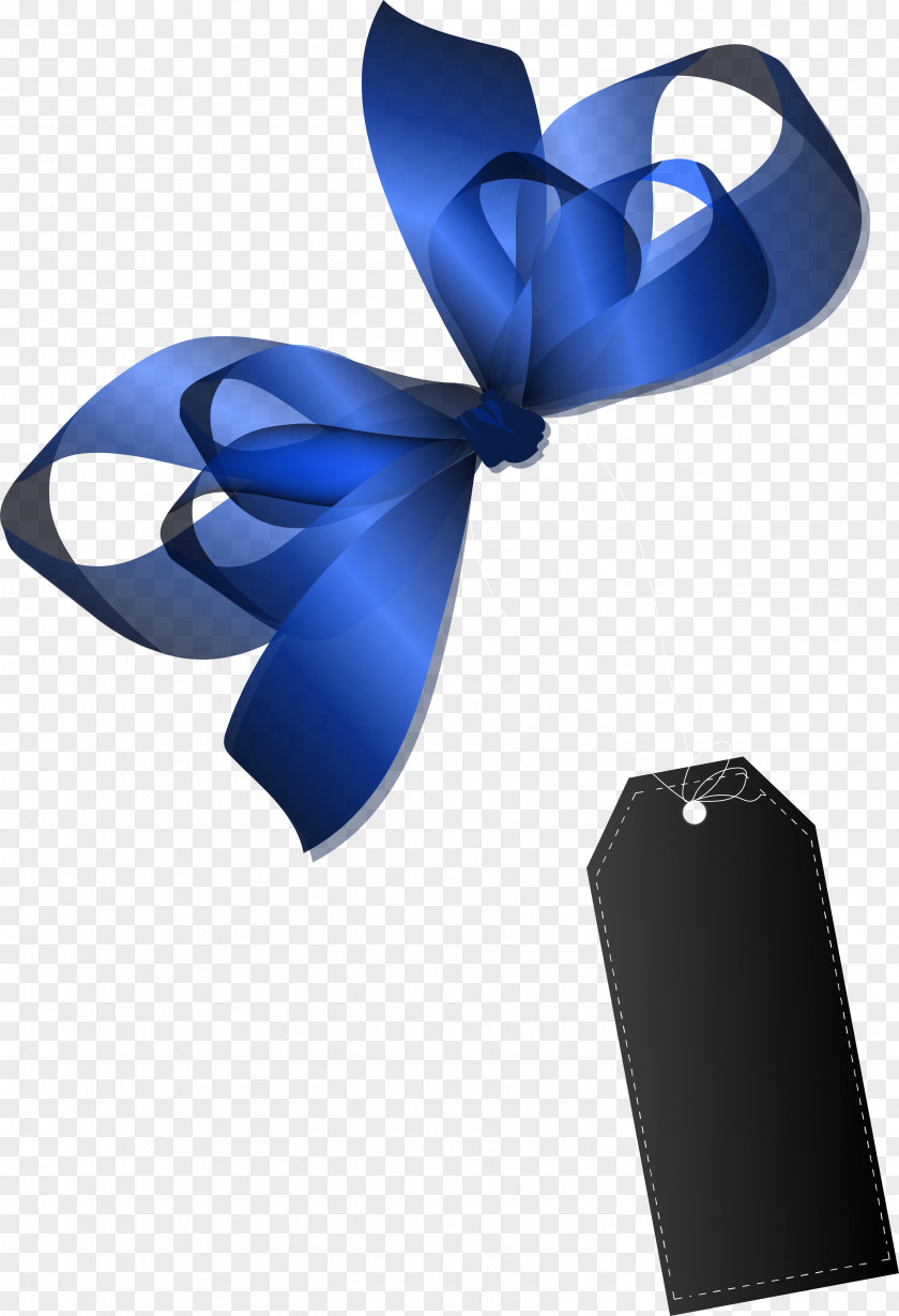 Blue Fresh Flowers Bow PNG