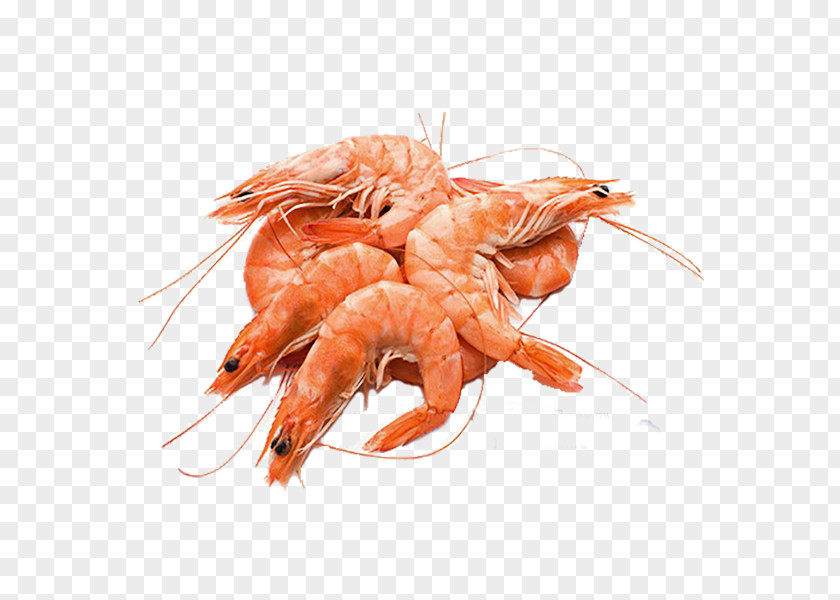 Fish Products Prawn Seafood PNG products Seafood, others clipart PNG
