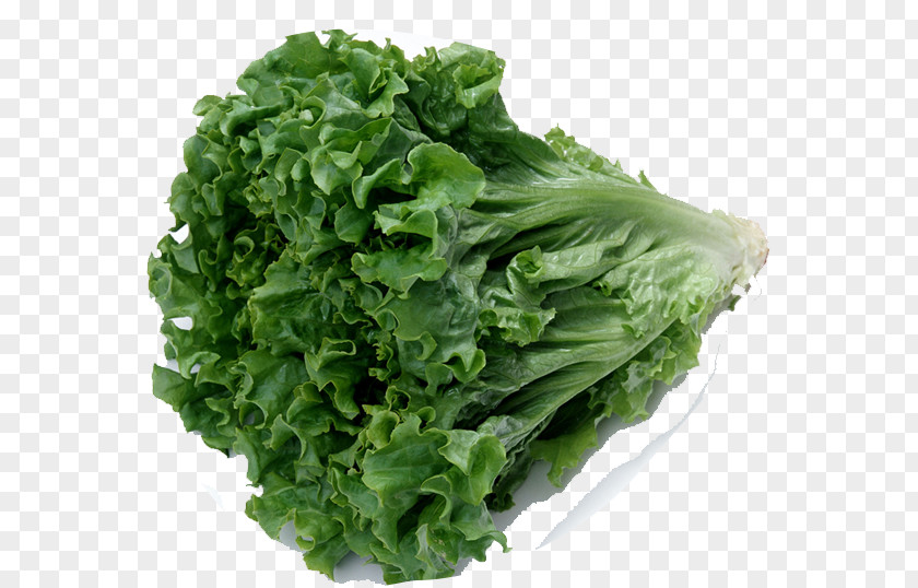Green Vegetables Celtuce Chinese Cuisine Organic Food Leaf Vegetable Romaine Lettuce PNG
