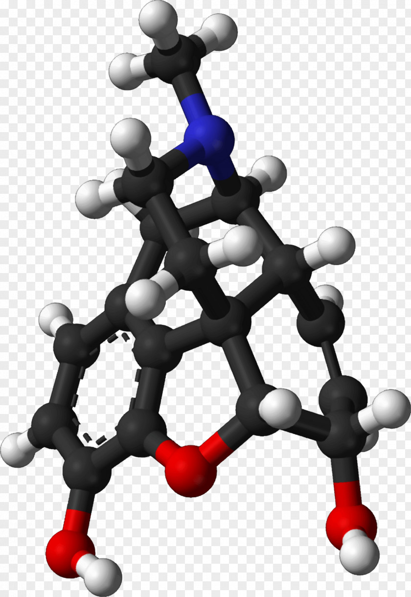 Molecule Endorphins Morphine Opioid Chemistry PNG