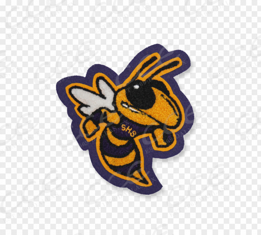 San Antonio Texans Mascot Clip Art Sticker Insect Wing PNG