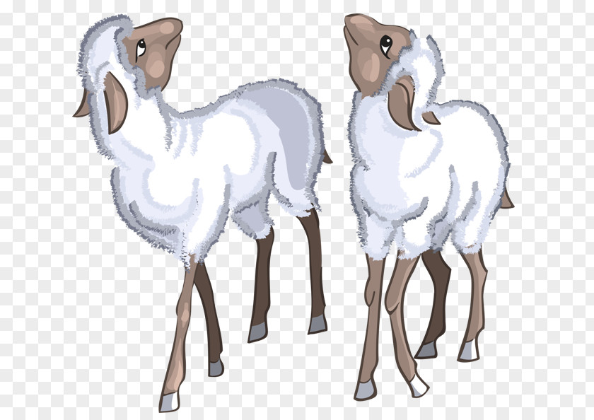 Sheep Sheep–goat Hybrid Argali Clip Art PNG