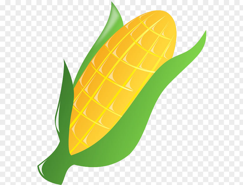 Corn On The Cob Clip Art Openclipart Ear PNG
