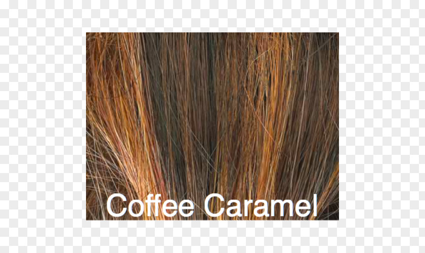 Hair Brown Long Caramel Color Coloring PNG