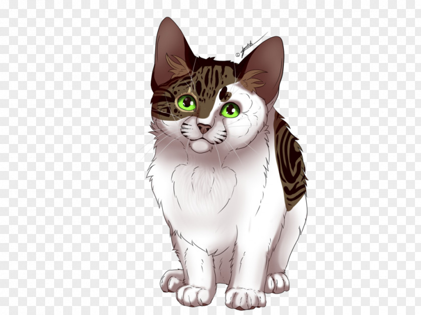 Minecraft American Shorthair Wirehair Whiskers Domestic Short-haired Cat PNG