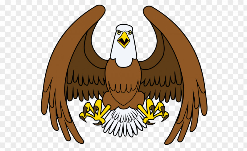 Vector Illustration Eagle Cartoon PNG