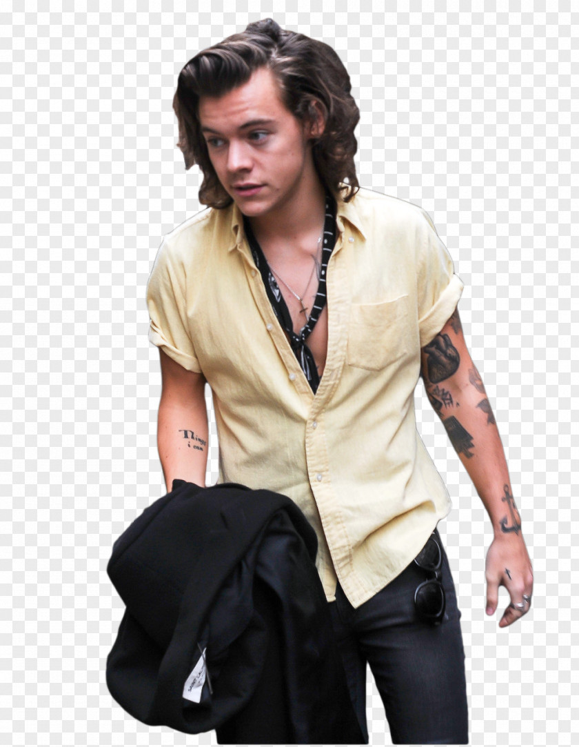 Zayn Malik Harry Styles One Direction The X Factor PNG