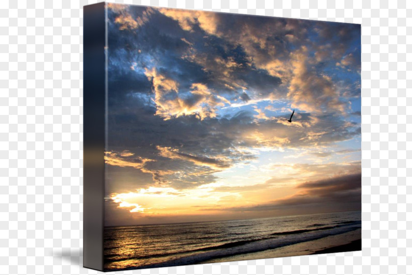 Beach Sea Picture Frames Imagekind Art PNG