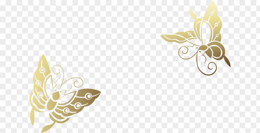 Golden Butterfly Insect Pattern PNG