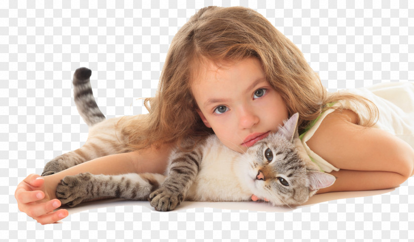 Kitten Thai Cat Stock Photography Child Veterinarian PNG