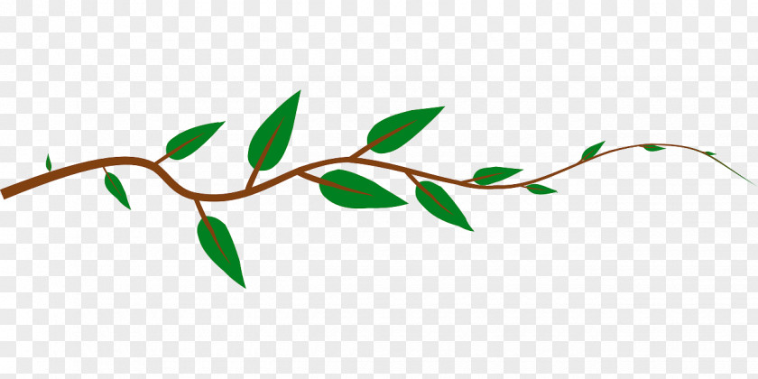 Leaf Vine Clip Art PNG