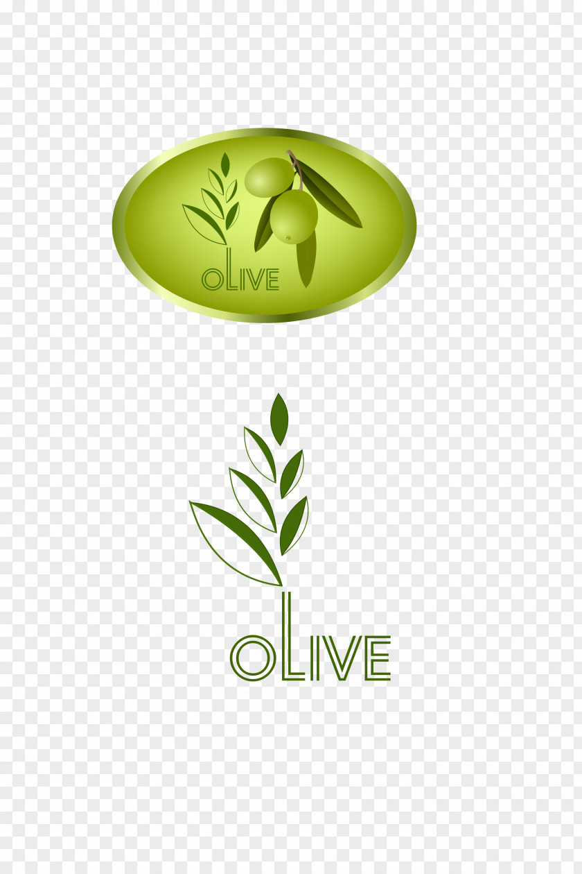Olive Icon Leaf PNG
