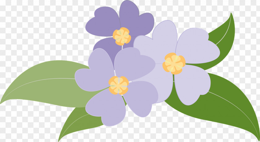 Violet Flower Purple PNG