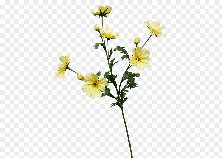 Yellow Spray Cut Flowers Flowering Plant Stem PNG