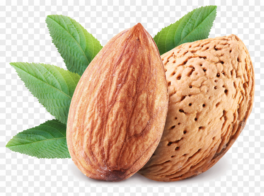 Almond Marzipan Plant Milk Drink Food PNG