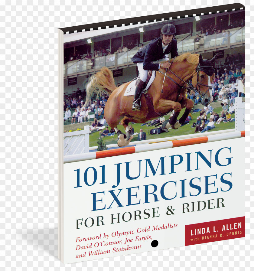 Book 101 Jumping Exercises For Horse & Rider Icelandic Dressage Arena Equestrian PNG