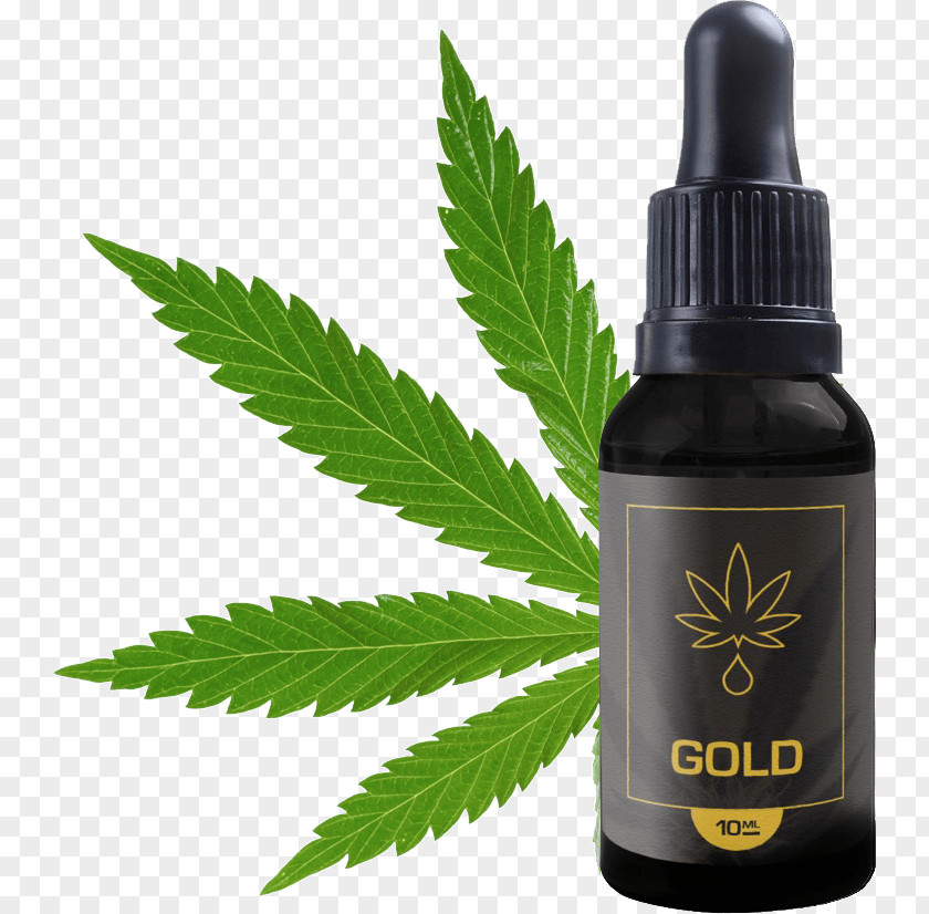 Cannabis Ruderalis Medical Stock Photography New York City Diesel PNG