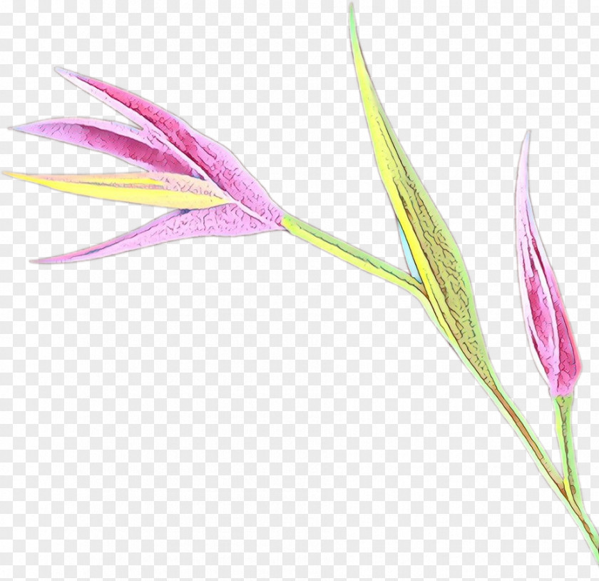 Flower Plant Pedicel PNG