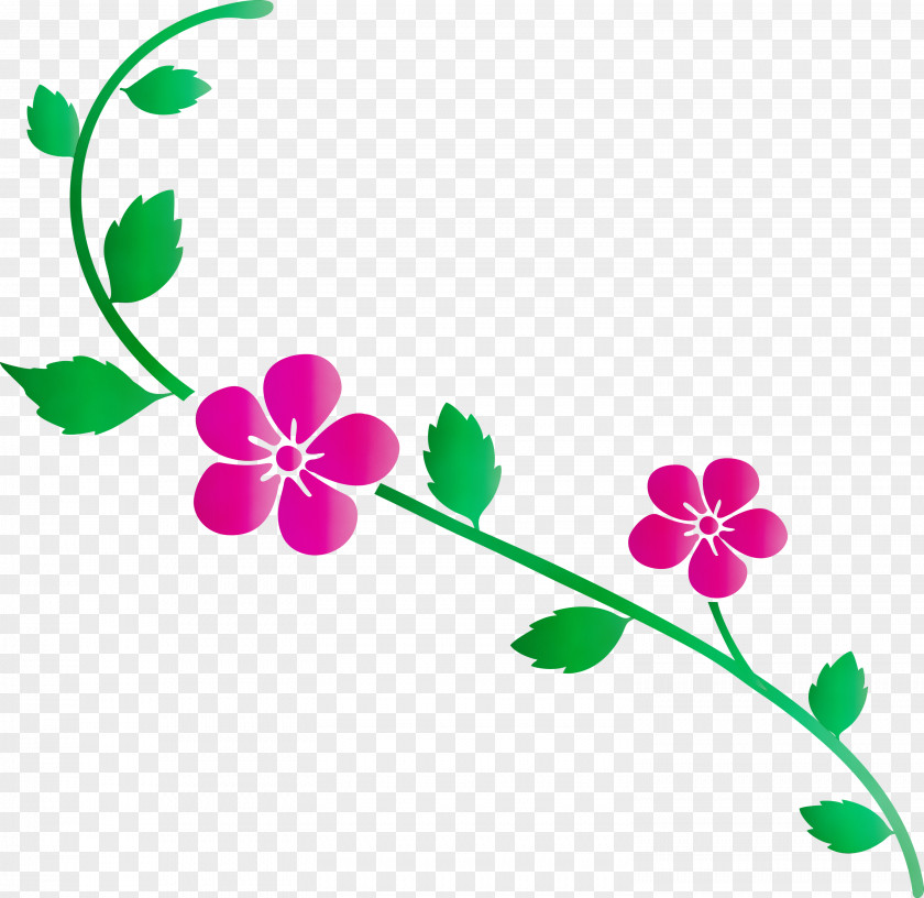 Flower Plant Pink Pedicel Stem PNG