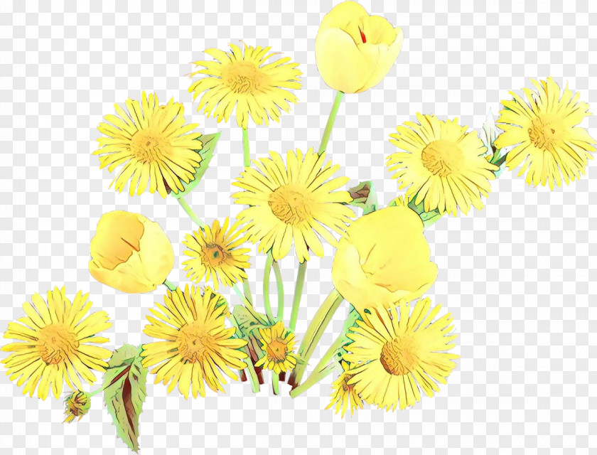 Flowering Plant Gerbera Daisy PNG