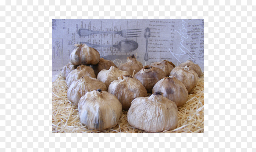 Garlic Black France Onion French PNG
