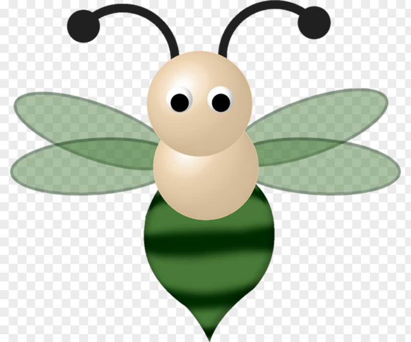 Hand Drawn Bee Apidae Insect Clip Art PNG