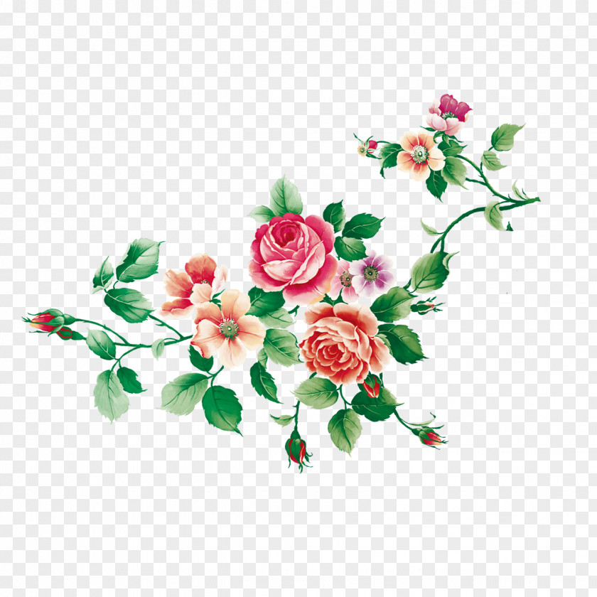 Peony Garden Roses Flower Qixi Festival PNG