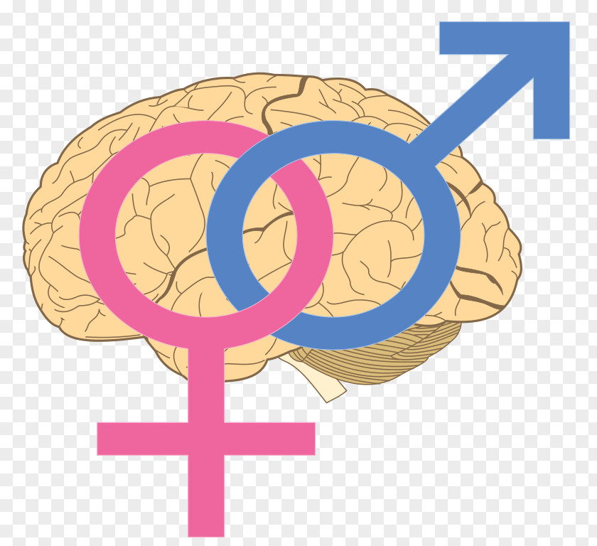 Woman Female Gender Symbol Men Are From Mars, Women Venus PNG