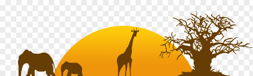 Zoo Giraffe Tycoon PNG
