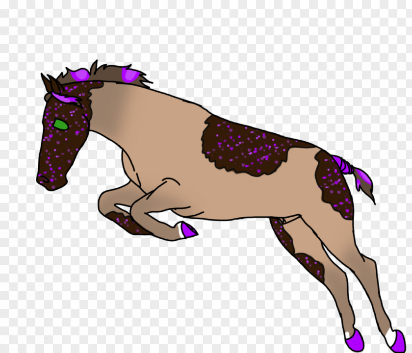 Canter And Gallop Mane Mustang Pony Foal Stallion PNG