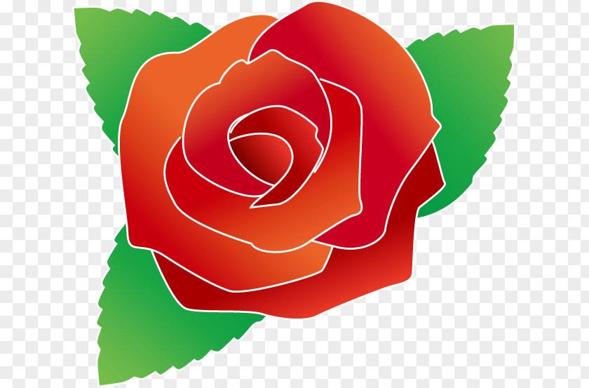 Rose Garden Roses Royalty-free Clip Art PNG