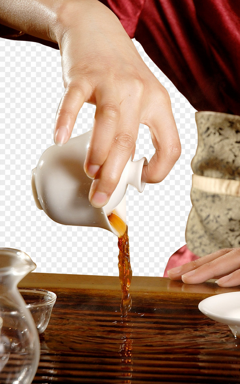 Tea Gongfu Ceremony Culture Teacup PNG