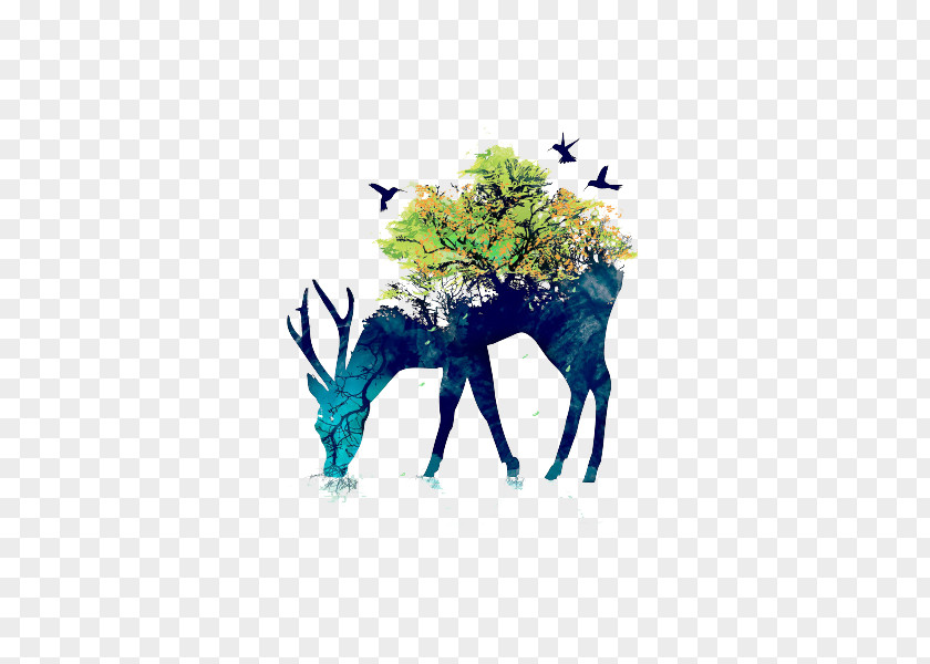 Animals And Plants PNG and plants clipart PNG