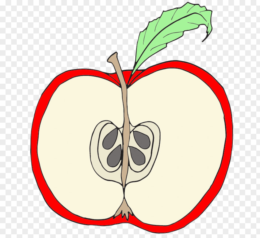 Apple Clip Art PNG